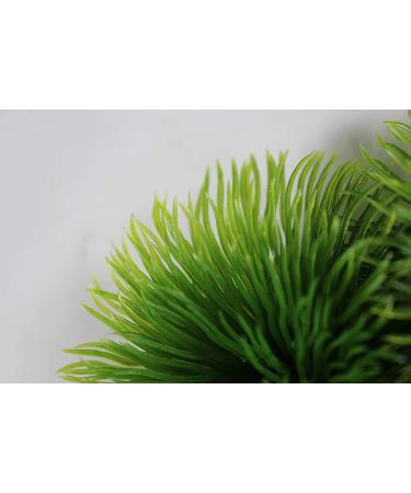 PENN-PLAX Fish Breeding Grass Hideout 2-Pack for Livebearers & Egg Layers - Buy Online on GoSupps.com