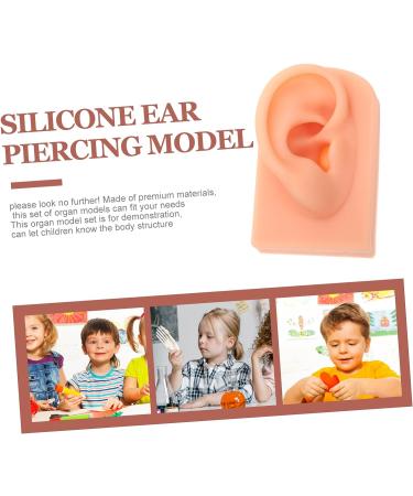 Baluue Silicone Simulation Ear Model for Jewelry Practice and Display - Khaki Prosthesis Earring Display - Buy Online on GoSupps.com
