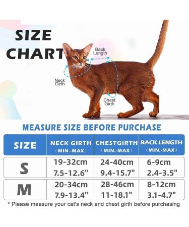 Supet Cat Dishes & Line Set - Perfect Feeding Solution for Kittens | International Shipping Available - Buy Online on GoSupps.com