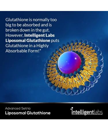 Liposomal Glutathione 500MG - Setria Antioxidant Supplement | 30 Servings - Buy Online on GoSupps.com