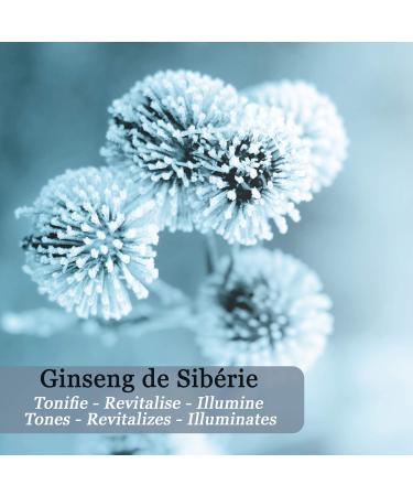 Pol ar Men - Energizing Hydraboost Gel with Ginseng and Siberian Olive Tree - 50 ml - Moisturing Face Cream - After shave - Matte finish care - All skin types - Natural Active Ingredient - Buy Online on GoSupps.com