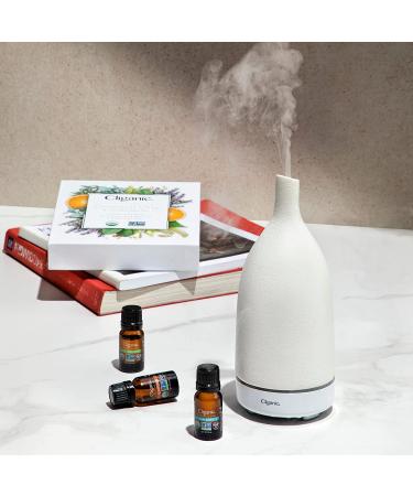 Cliganic Organic Turmeric Essential Oil 0.33 Fl Oz - 100% Pure for Aromatherapy | Non-GMO Verified - Buy Online on GoSupps.com