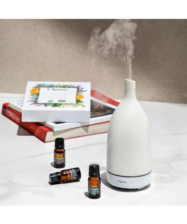 Cliganic Organic Sweet Orange Essential Oil, 4oz - 100% Pure Natural for Aromatherapy Diffuser | Non-GMO Verified - Buy Online on GoSupps.com