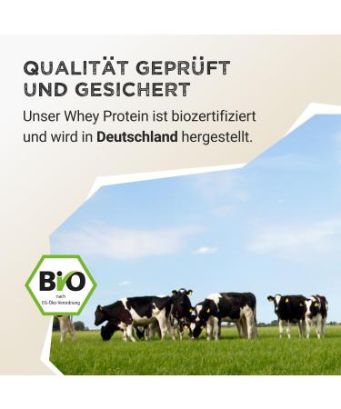  Harvest Republic HARVEST REPUBLIC Organic Whey Protein Powder with Chocolate Flavor | No Added Sugar | 350g Organic Whey Protein Powder | Whey Protein for Muscle Development | - Buy Online on GoSupps.com