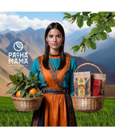 Guayusa Pachamama Energia 0 1 kg | Ilex Guayusa biologique d Equateur 100 g | Effet fortement stimulant Apparent la yerba mat | Saveur d licate | Alternative au caf et aux boissons nerg tiques - Buy Online on GoSupps.com