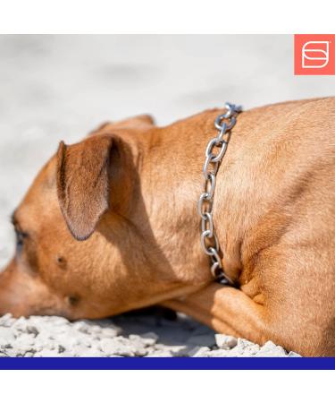 Sprenger Dog Hall Chain with Sprinkler Hook - 3mm Stainless Steel Adjustable Necklace 45cm Silver - Buy Online on GoSupps.com