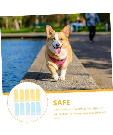 BESPORTBLE 40 Pcs comfortable toothbrush for dogs pet toothbrush and toothpaste single use toothbrush 1 count (Pack of 1) As Shownx4pcs - Buy Online on GoSupps.com