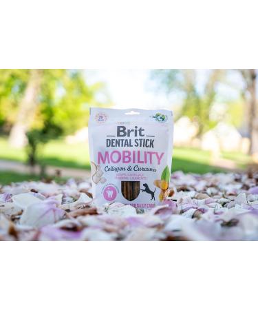 Brit Adult Food 251g - Buy Online on GoSupps.com