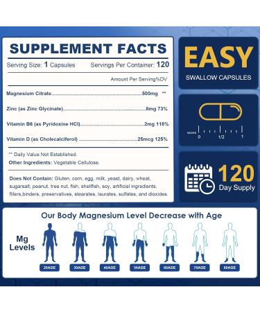 NATURE TARGET Magnesium Citrate 500mg with Zinc & Vitamin D for Muscle, Nerve, Bone & Heart Health, High Absorption Magnesium Supplement, Easy to Swallow Magnesium Capsule for Women & Men, 120 VegCaps 120 Count (Pack of 1) - Buy Online on GoSupps.com