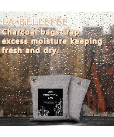 La Bellef e Bamboo Activated Carbon Air Purifier - Natural Deodorant & Odor Remover for Cars Shoes & Spaces - 6 Pack (4x75g 2x200g) - Buy Online on GoSupps.com