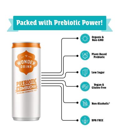 Wonder Drink Organic Kombucha Asian Pear Ginger 12oz Pack of 12 - Plant-Based Prebiotic Gut Health Sparkling Tea with Digestive Benefits - Buy Online on GoSupps.com