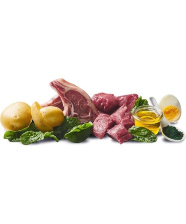 DOGGY Dog Pat Wild & Lamb - 6 x 400 g - Wet dog food - Grain free - With salmon oil and green-lipped mussel - Complete food with spinach and potatoes - Made in - Buy Online on GoSupps.com