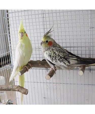 2 Pack Natural Prickly Ash Wood Bird Ladder & Perch Stand - Cage Accessories for Parakeet, Cockatiel, Rats, Hamsters - Climbing, Chewing Toys - Buy Online on GoSupps.com