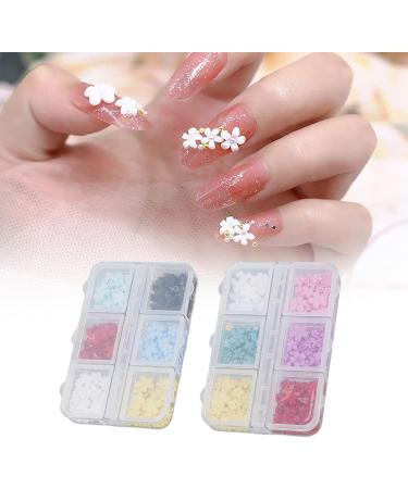 2 Boxes Nail Flowers 3D Nail Rhinestone Flower Flower Nail Charms Resin with 12 Grids DIY Nail Art Decoration Rhinestones Decals for Nail Art Beauty - Buy Online on GoSupps.com