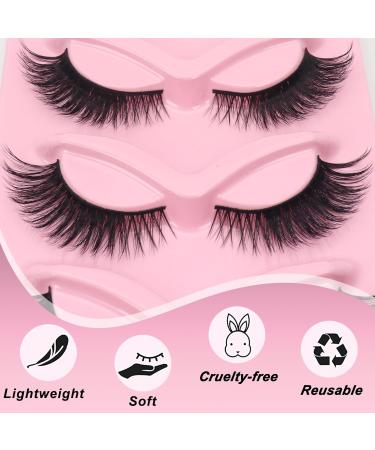 Losha Lashes Cat Eye 02 - Wispy & Natural Look Reusable Soft False Eyelashes | 5 Pairs Luxury Fake Eyelashes for International Shipping - Buy Online on GoSupps.com