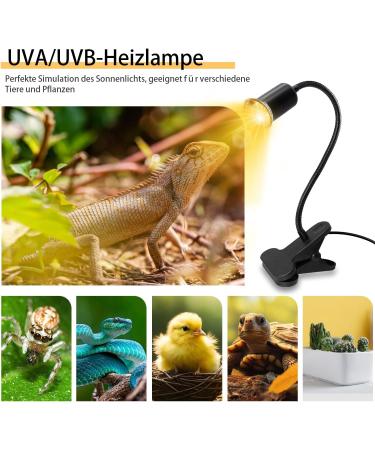 2-Piece Turtle Heat Lamp for Reptiles - UV Heat Spot Lamp with Clip & 240cm Cable - E27 Reptile Heating Lamp for Aquariums Snakes & Chameleons (No Bulb) - Ideal for Turtle Terrariums - Buy Online on GoSupps.com