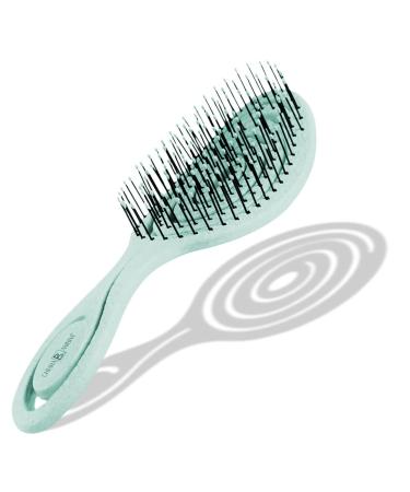 CHIARA AMBRA Bio Friendly Detangling Brush - No Tugging Detangler for Thick & Curly Hair or Extensions - Vegan Vent Hairbrush - Turquoise