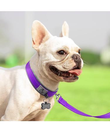 Joytale Softly Padded Neoprene Dog Collar for Small Dogs | Reflective Nylon Wide Collar in Purple - 1 Pack - Buy Online on GoSupps.com