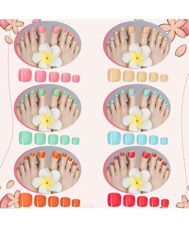 720 Pieces 30 Sets Short False Toe Nails - Bright Matte Solid Color Press On Toenails for Women & Girls - Buy Online on GoSupps.com