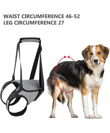 Dog Lifting Harness Dog Support Harness for Back Legs Dog Harness Medium Dog Sling for Back Legs with Lift Handle Adjustable Puppy Harness for Elderly Disabled Joint Injuries Canine Portable(Grey) - Buy Online on GoSupps.com