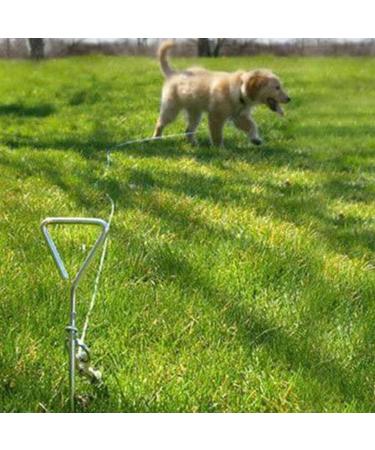 1Above_20ft(6m) heavy duty Dog stake and tie out cable with 16 Inch spiral ground stake Puppy pet Outdoor Tie Out Lead Leas - Buy Online on GoSupps.com