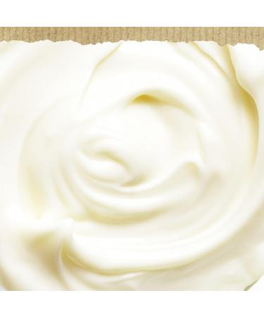 Best Foods Vegan Dressing and Spread 11.5 oz Pack of 3 - Rich & Creamy Plant-Based Mayo Alternative, Same Great Taste, Egg-Free - Buy Online on GoSupps.com