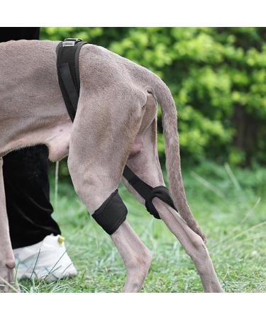 DONGKER Dog Knee Brace Adjustable Dog Knee Brace for Dogs Hind Legs Recover - Buy Online on GoSupps.com