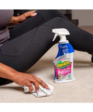 OdoBan Pet Solutions Oxy Stain Remover Pet Stain Eliminator 32 Ounce Spray - Buy Online on GoSupps.com