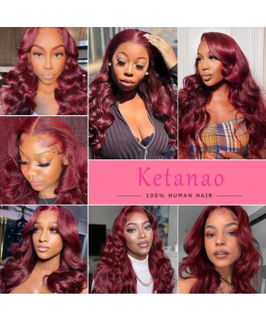 Burgundy Lace Front Human Hair Wig 20 Inch | Pre Plucked with Baby Hair | HD Transparent Lace | 150% Density | Wine Red 99j - Buy Online on GoSupps.com