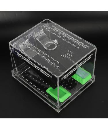 Cricket Cricket Ding Box Feeding Clim Pet Cricket Ding Box Dubia Feed Box SmallFeeding BoxAcrylic Feeding Cricket Keeper Pen with Tubes Cockroach Care Kit Reptile BoxS (L) - Buy Online on GoSupps.com
