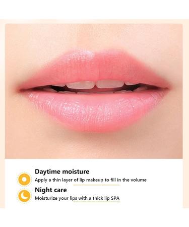 Moisturizing Lip Balm in Honey Jar Anti-Wrinkle Lip Balm for Lips Lip Mask Kawaii Lip Gloss Moisturizer and Prevent Dryness Exfoliator for Cracked Lips (Honey) - Buy Online on GoSupps.com