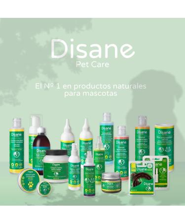 Disane Natural Anti-Parasite Pipettes for Cats | 2 Units for 2 Months | Safe Flea Tick & Mosquito Protection | Non-Toxic Formula - Buy Online on GoSupps.com