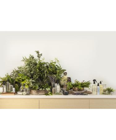 Bondi Wash - Dish Wash - Buy Online on GoSupps.com