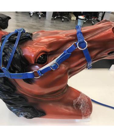 Halter for Horse | Safety Halter Chin & Throat Snap Heavy Duty Tied Halter Colorful Padded Nylon Size Horse Care for Horse Grooming Training Pochy Blue - Buy Online on GoSupps.com