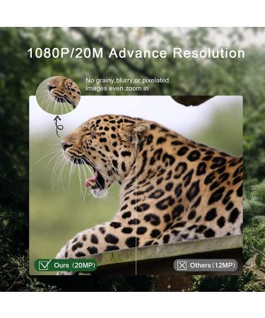 Mini Wild Camera 20MP 1080p HD - Night Vision Waterproof Wildlife Camera with 850nm IR LEDs & 32GB Memory Card for Outdoor Observation - Buy Online on GoSupps.com