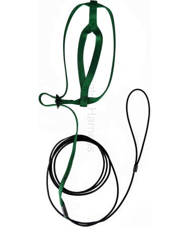 Aviator Bird Harness & Leash - Made in America | Best for Parrots & Birds | International Shipping - Buy Online on GoSupps.com