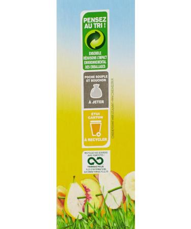 Materne Pom'Potes Gourds 5 Fruits Apple & Yellow Fruits without Added Sugar 4 x 90 g - 360 g - Pack of 6 - Buy Online on GoSupps.com