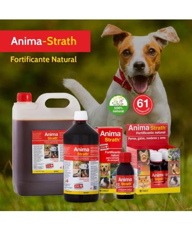 Anima Strath 100ml - Natural Immune Support & Energy Booster | International Shipping Available - Buy Online on GoSupps.com