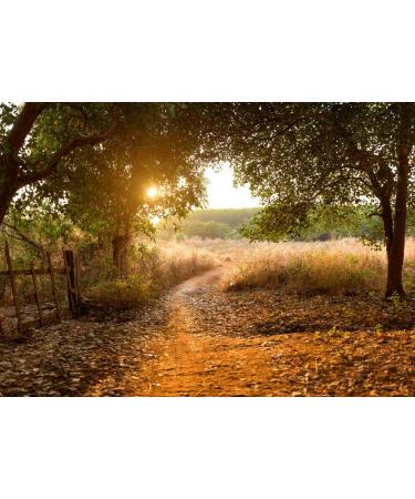 Lais Puzzle Sunset in the Cashew Nut Forest Cambodia Banlung Province 500 pieces - Buy Online on GoSupps.com