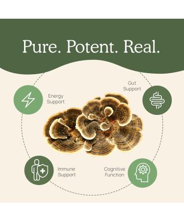 Real Mushrooms RealClarity (60ct) and Turkey Tail (90ct) Capsules Bundle - Mushroom Supplement for Mental Clarity Focus & Immune Support - Vegan Non-GMO Verified Levels of Beta-Glucans - Buy Online on GoSupps.com