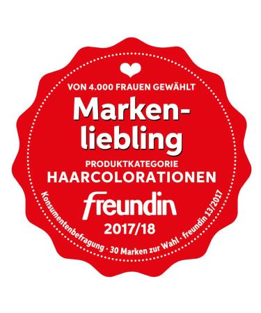 SANTE Natural Cosmetics Plant Hair Color Powder - Bronze Henna Powder 100g for Vibrant Color & Shine - Buy Online on GoSupps.com