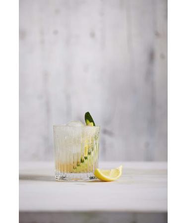 SodaStream Soda Press Classic Indian Tonic 500 milliliters - Buy Online on GoSupps.com