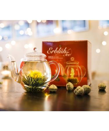 Creano Blooming Tea Gift Set - 12pcs Flowering Tea in Stylish Wooden Box - Buy Online on GoSupps.com