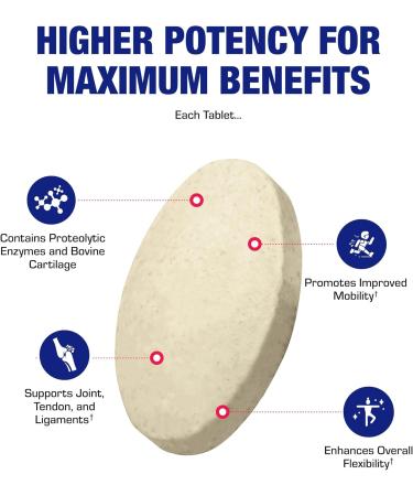 Cartilage Ligament and Tendon Supplement - Clinical Restorative Joint Support Formula with Bovine Cartilage Minerals and Proteolytic Enzymes for Enhanced Comfort Mobility Zymain 90 Support - Buy Online on GoSupps.com