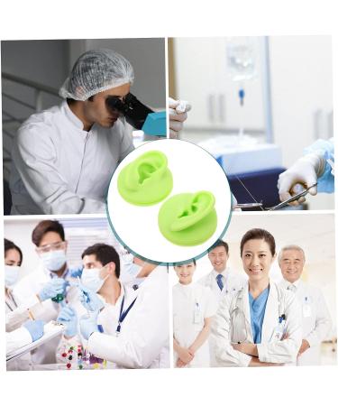 Healeved 2pcs Colored Earring Molds Teaching Aid - Green 3D Human Ear Model - Buy Online on GoSupps.com