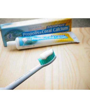Natural Fluoride Free Propolis Toothpaste Anti-Plaque Triclosan Free No Preservative No Artificial Sweetener No Chemical with Okinawa Coral Calcium 120g (4.2 oz) Made in Taiwan (3) - Buy Online on GoSupps.com