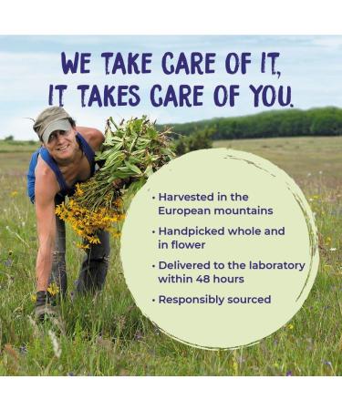 Boiron Arnicare Cream - Homeopathic Pain Relief, 1.3 oz | Natural Remedy - Buy Online on GoSupps.com