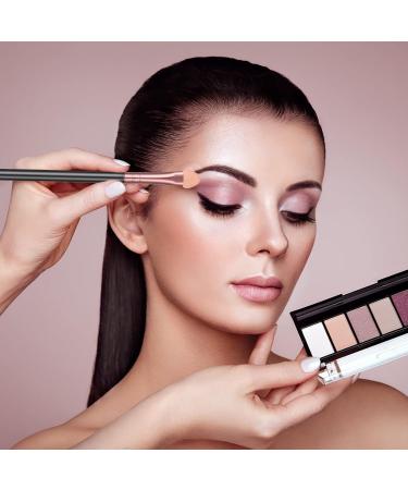 Wllhyf Makeup Brush Set | Reusable Eyeshadow Applicator & Sponge | Washable Eye Shadow Brushes for Flawless Application - Buy Online on GoSupps.com