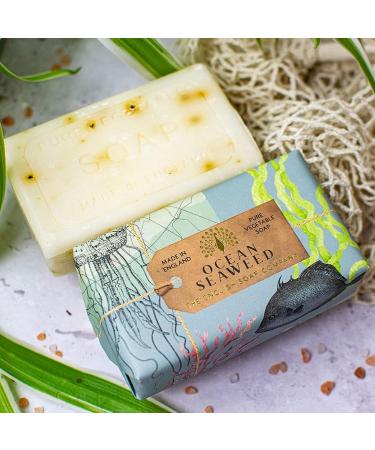 The English Soap Co. Ocean Seaweed Soap Bar 200g - Anniversary Collection | Pack of 1 - Buy Online on GoSupps.com