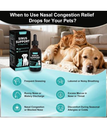 Nasal Health Support Drops for Cats & Dogs Pet Sinus & Respiratory Comfort Supplement Helps Maintain Clear Breathing Supports Seasonal Wellness & Immune Function - Buy Online on GoSupps.com